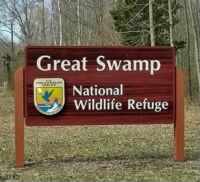Great-Swamp-NWR-Sign-at-White-Bridge-Cropped-308x281.jpg