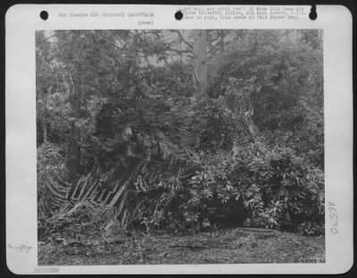 General > As camouflage experts the weather men rate high. This picture shows a camouflaged weather station capable of operating 24 hours a day.