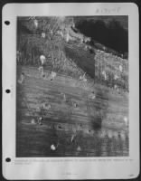 This photograph made from a Ninth Air Force Photographic Plane shows parachutes on the ground with parapacks and cannisters still attached to them. These were dropped from 9th Air Force Troop Carrier "Skytrains" on a newly constructed emergency - Page 1