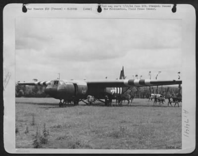 General > In a French pasture on the Cherbourg peninsula horses and cows continue their grazing despite the prescence of a 9th Air force glider that carried 9th Air force troops and supplies to the fighting front.