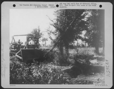 Consolidated > Establishment Of Airfields Was Of First Importance At Salerno, Italy.  Just One Mile From The Beach, Aviation Engineers Selected Two Adjoining Farms For Conversion Into An Emergency Landing Field.  Bulldozers Cleaned Off The Trees And A Fast Job With Pick