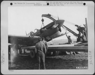 Consolidated > Maintenance Men Haul Away A Curtiss P-40 Warhawk Of The 79Th Fighter Group, Based At Capodichinio, Italy, After It Made A Crash Landing.  The Landing Hear Had Been Shot Away During A Dog Fight.