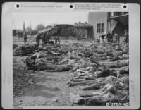 Hundreds Of Slave Workers Were Systematically Starved To Death At A Labor Camp Near Nordhausen, Germany.  A 9Th A.F. Cameraman, Accompanying Advanced Elements Of U.S. Armor And Infantry, Photographed This Section Of The Camp As German Civilians In The Bac - Page 1