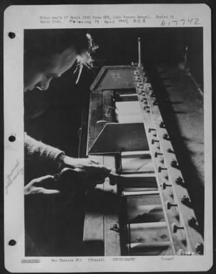 Processing > FRANCE--With immersion rods down and paper threaded the print takes five minutes to pass through the processing tanks of developer, fixing bath, and cascade wash. Cpl. Delbert Mullins of Waynesburg, Ky., adjusts the wiper between the fixing tank and