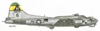 306th Bombardment Group livery.gif