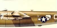 Consolidated B-24 Liberator of the 460th BG, 762nd BS livery.jpg