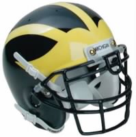 Michigan Helmet.JPG