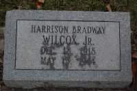 Harrison Broadway Wilcox, Jr. Headstone.jpg