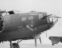 Cock O' The Walk B-17 Flying Fortress, 388th Bomb Group.jpg