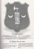 Thumbnail for 71st regsheild.jpg