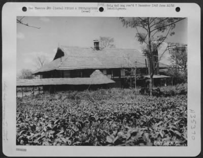 Consolidated > The Last Ferrying Group Operations Building Is Located In The Center Of A Tea Plantation At Chabua, Assam, India.  The Thatched Roof Serves Two Purposes; It Keeps The Interior Cool And Also Serves As Camouflage.  July 1943.