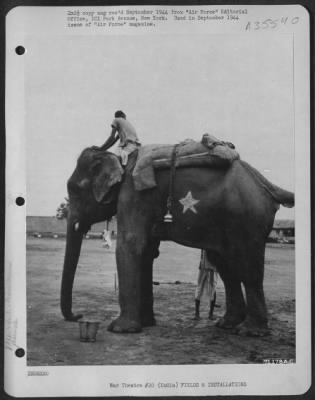 Consolidated > Indian Bases Were Built With Native Labor And Transporation.  Army Insignia Adds Gi Touch To The Elephant.
