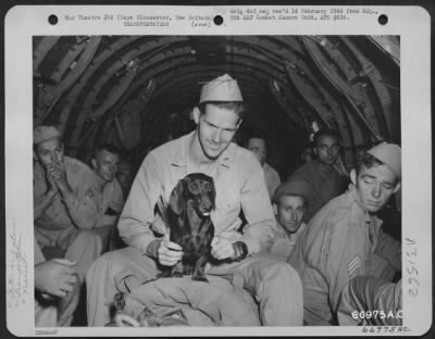 Consolidated > No matter how packed the C-47 transport may be there is always room for a "pooch." Many a dog can probably hand you his shortsnorter bill to sign, while many another can give you interesting experiences which he has shared with his master while