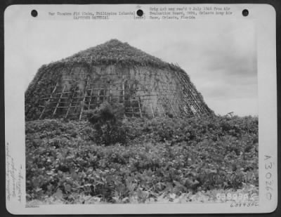 Consolidated > Cebu, Philippine Islands-1945-A gasoline storage tank cleverly camouflaged by the Japanese. This oil tank was adjacent to the electric plant in Cebu City.