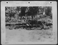 Captured almost intact on Palawan, this Jap Nick was readied for tests by our pilots. Philippine Islands. - Page 1