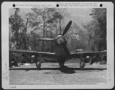 Consolidated > In support of 1st Air Commando Force glider operations, a North American P-51, based at Hailakandi, Assam, India, carries a 1000 lb. bomb under each wing for dive bombing missions over Burma. Bazookas also were installed in sets of three under each