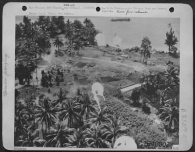 Thumbnail for Consolidated > Horam field, Wawak, New Guinea.