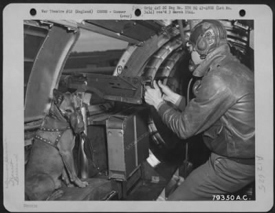 Thumbnail for Gunner > "Mister" The Pet Mascot Of S/Sgt. Harold E. Rogers Of Hollywood, Cal., Gunner On A Boeing B-17 Is Shown Here With His Oxygen Mask During A Mission Over Enemy Territory.  He Has Been On Five Missions With His Master.  England, 1 July 1943.