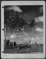 A Consolidated B-24 Libertor Of The 11Th Bomb Group Takes Off From Airstrip On Guam, Marianas Islands, As Sgt. Marvin Hollinger Of Lancaster, Pa., Climbs A Palm Tree To String His Communication Line. January 1945. - Page 1