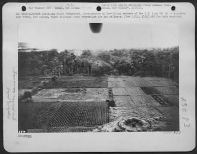 Consolidated > Jap anti-aircraft position, right foreground, photographed by low-flying bombers of the U.S. Army 5th AF in a garden near Wewak, New Guinea, which supplied fresh vegetables for Jap officers.