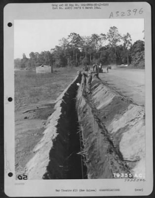 Thumbnail for Consolidated > Men of the 440th Signal Construction Co., attached to an Air Force unit, lay an underground lead communication cable at Dobodura, New Guinea. 22 May 1944.