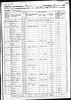 1860 census John Willis, Olive and Mary Almeda.jpg