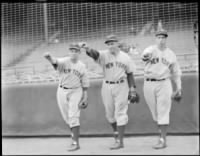 Myril Hoag, Ben Chapman and Rookie OF Joe DiMaggio.jpg