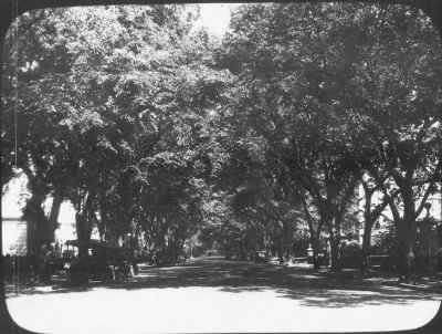 Thumbnail for Washington, DC, 1870-1950 > Street Scenes