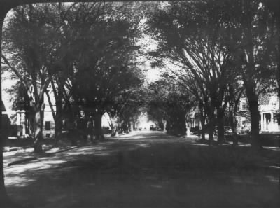 Thumbnail for Washington, DC, 1870-1950 > Street Scenes