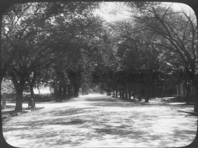 Thumbnail for Washington, DC, 1870-1950 > Street Scenes