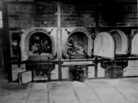 Bones of anti-Nazi German women in crematoriums German concentration camp Weimar Germany 14 Apr 1945.jpg