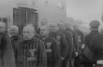 Prisoners in the concentration camp at Sachsenhausen Germany 19 Dec 1938.jpg