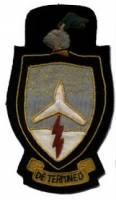 352nd Bombardment Squadron patch.jpg