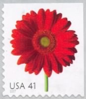 Thumbnail for Red gerbera daisy.jpg