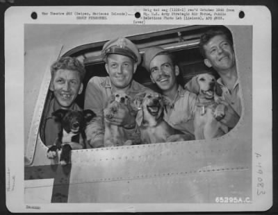Groups > Four Air Force Men Hold Mascots While Posing In Window Of A Consolidated B-24 'Liberator'. The Relative Sizes Of The Dogs Indicate The Length Of Time Their Masters Have Served On Combat Missions. The Men Are, Left To Right: S/Sgt. Joseph M. Hagan, 1916 We