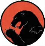 Thumbnail for 338th Fighter Squadron patch.jpg