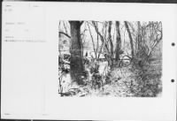 Thumbnail for B-29 Wilderness, Near Chancellorsville, Virginia