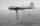 Boeing B-17 Flying Fortress Unloading.jpeg