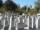 Oakland Cemetery-2.jpg