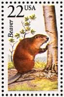 Beaver.gif