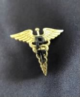 Army Physical Therapy insignia.jpg