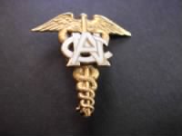 Thumbnail for WWI Army Nurse Corps (ANC) insignia.jpg