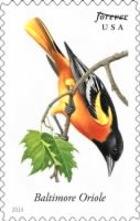 Thumbnail for bal-baltimore-oriole-featured-in-new-songbirds-forever-stamps-collection-20140404.jpg