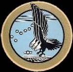 Thumbnail for 318th Fighter Group patch.jpg