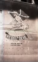 447th Rebel Devil-B.jpg