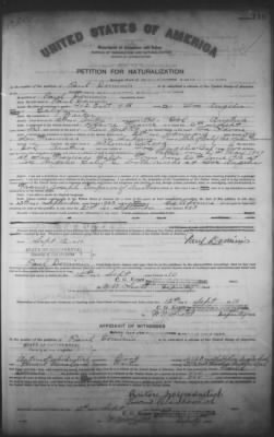 Dominis, Paul > Petition for Naturalization (1910)