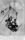 Thumbnail for Detroit Free Press, 05 Jul 1942, Sun, Page 103_crop.jpg