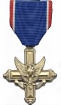 Thumbnail for distinguished_service_medal.gif