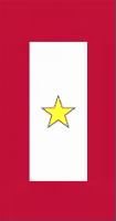 Gold_Star_Banner.png