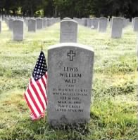 Lewis William Walt grave.jpg